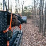 Mark Calaway Instagram - A fun couple of days in the woods with good friends! We were successful on getting our buddy Mark AKA the @undertaker his first black bear! 🐶 🐻