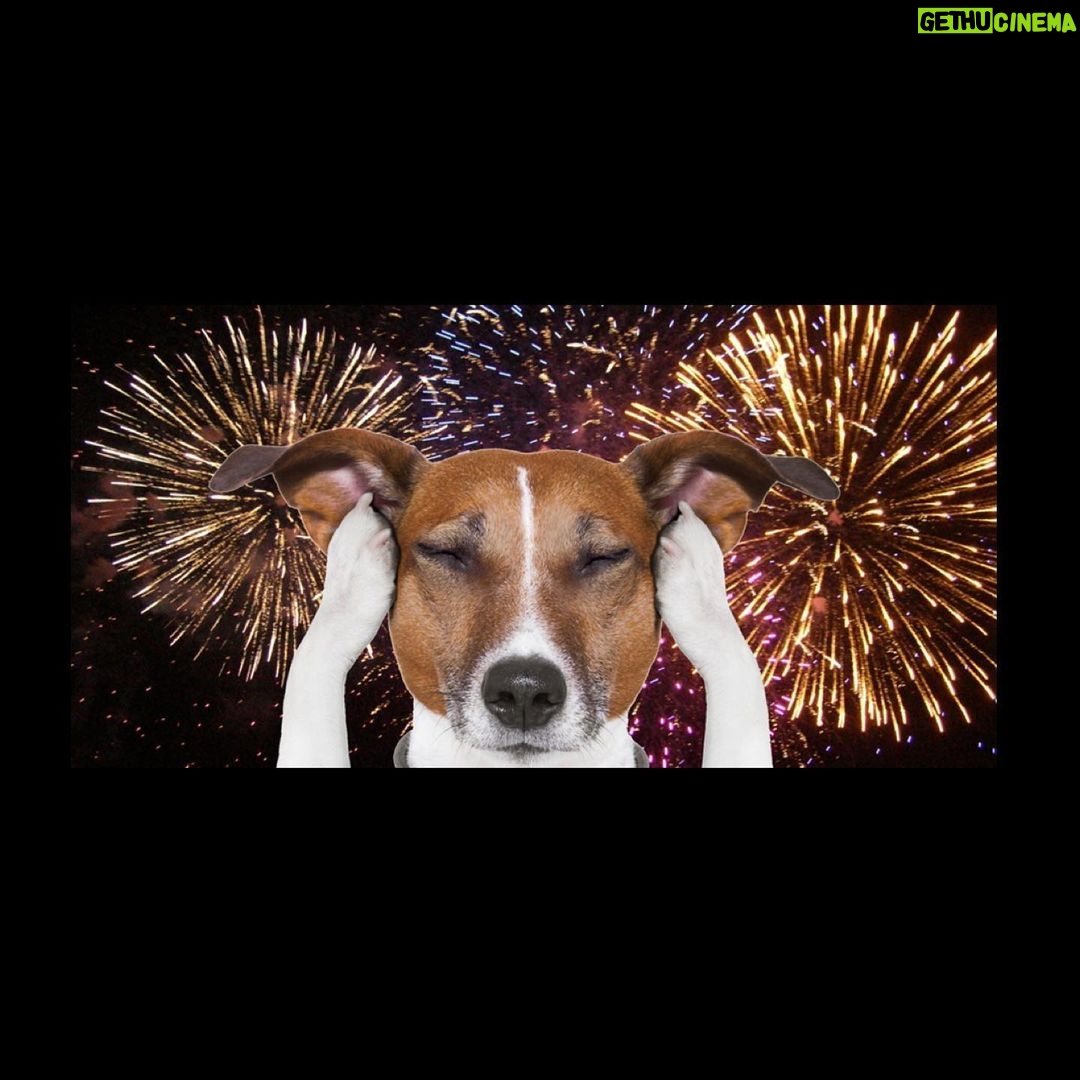 Mark Hamill Instagram - Wishing you all a wonderful #July4th , while reminding you all that dogs (& most pets) HATE FIREWORKS & suggesting that maybe you all should just watch them on TV instead.
