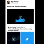 Mark Hamill Instagram - Has everybody seen the (eXecrable) new logo? 👀🙄 #ByeByeBirdie 🕊️ #TaTaTwitter 👋