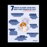 Mark Hamill Instagram - Wishing you all a wonderful #July4th , while reminding you all that dogs (& most pets) HATE FIREWORKS & suggesting that maybe you all should just watch them on TV instead.