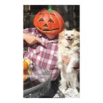 Mark Hamill Instagram - For those of you watching THE SANDMAN on @netflix, here's a little Fun-Fact: I have previous Pumpkinhead experience.🎃🤯 (and judging by the smile on that little pup's face, I did a pretty darn good job of it, too!) @thesandmanofficial @neilhimself @netflix