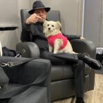 Mark Hamill Instagram - For Millie: 🎂A celebrated member of the Hamill family since 2012, she's been around the globe on every job I've had since. London, Serbia, Vancouver, Prague, Ireland and even Alabama(!) Can't imagine my life without her, and yes, she does have her own passport. #DelightfulDivaDoggie