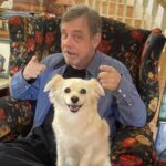 Mark Hamill Instagram - For Millie: 🎂A celebrated member of the Hamill family since 2012, she's been around the globe on every job I've had since. London, Serbia, Vancouver, Prague, Ireland and even Alabama(!) Can't imagine my life without her, and yes, she does have her own passport. #DelightfulDivaDoggie