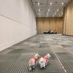 Mark Hamill Instagram - Minimal time for posting........ too busy Conning! #FANEXPOSF_Day2