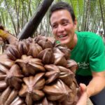Mark Wiens Instagram - Ones of the coolest fruits on earth… here’s how you eat the amazing fruit jelly’s of the Nipa Palm (jaak / จาก)! #Thailand #NakhonSiThammarat #fruit Nakhon Si Thammarat, Thailand