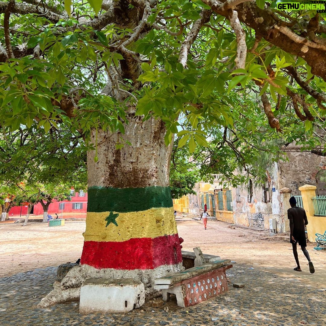 Mark Wiens Instagram - 10 Days in Senegal πΈπ³ @papetatandiaye Outstanding food, people, natural beauty - what a trip. Full videos coming soon! #Senegal #food
