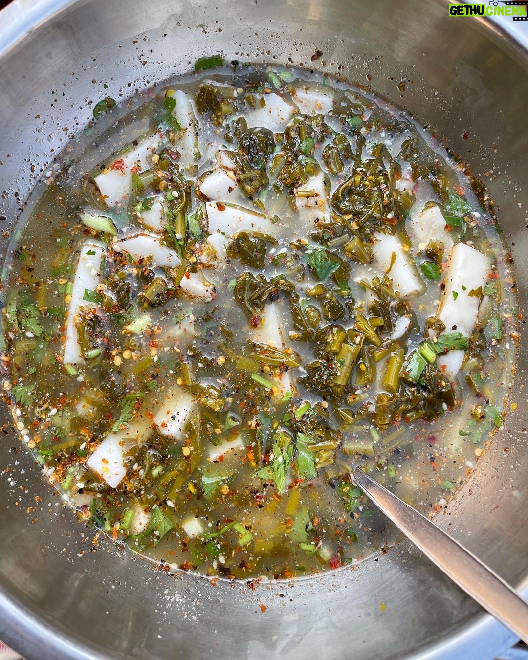 Mark Wiens Instagram - Amazing meal with a Lisu Hill-tribe family. Khao raem fuen (ข้าวแรมฟืน), basically rice jelly, cut into chunks and made two ways - one with tomato 🍅 and minced pork, another served cold with pickled mustard greens 🥬. 📍 Many thanks to Lisu Lodge @asian_oasis #ChiangMai #Thailand #Lisu #villagefood
