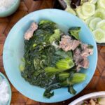 Mark Wiens Instagram - Amazing meal with a Lisu Hill-tribe family. Khao raem fuen (ข้าวแรมฟืน), basically rice jelly, cut into chunks and made two ways - one with tomato 🍅 and minced pork, another served cold with pickled mustard greens 🥬. 📍 Many thanks to Lisu Lodge @asian_oasis #ChiangMai #Thailand #Lisu #villagefood