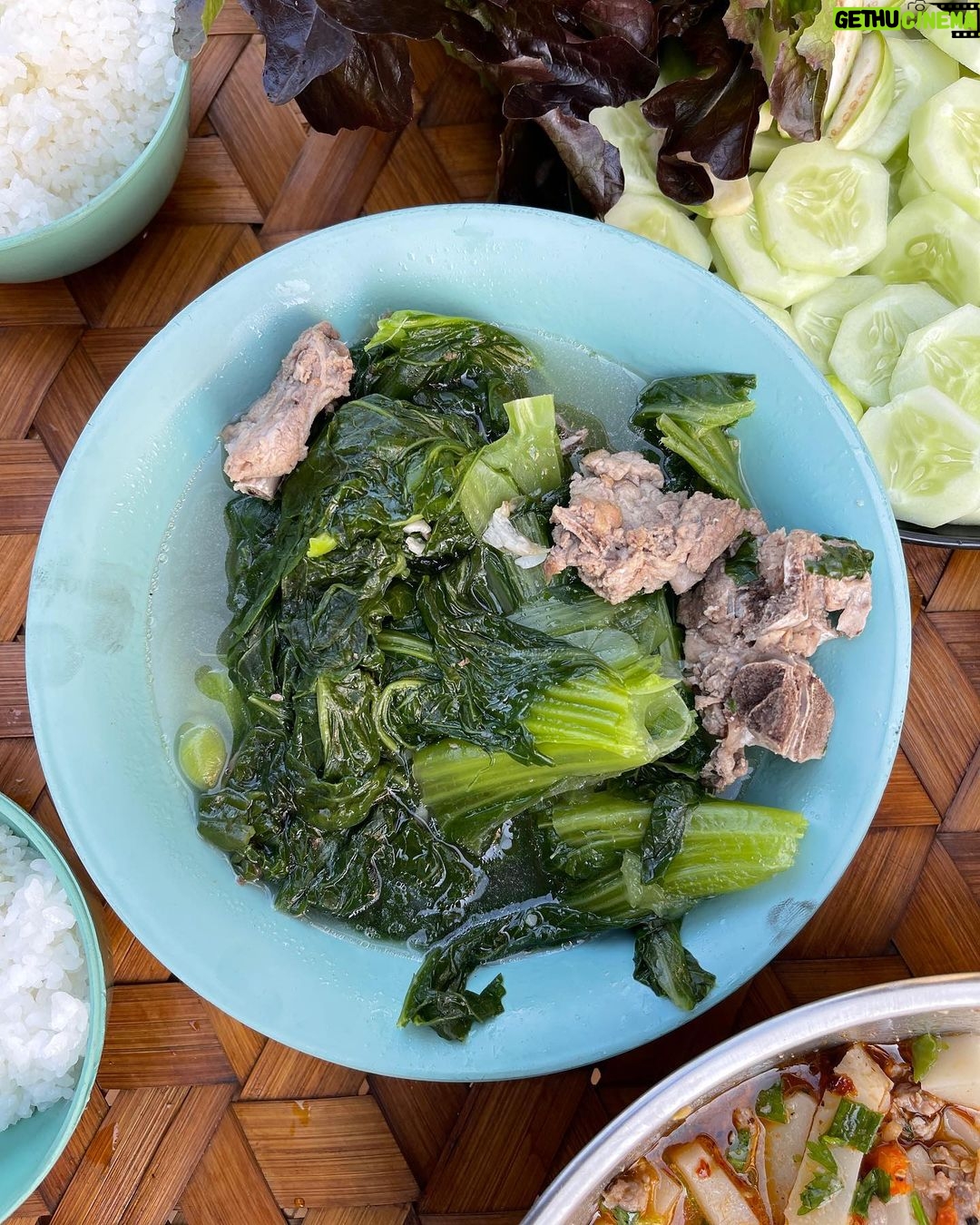 Mark Wiens Instagram - Amazing meal with a Lisu Hill-tribe family. Khao raem fuen (ข้าวแรมฟืน), basically rice jelly, cut into chunks and made two ways - one with tomato 🍅 and minced pork, another served cold with pickled mustard greens 🥬. 📍 Many thanks to Lisu Lodge @asian_oasis #ChiangMai #Thailand #Lisu #villagefood