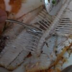Mark Wiens Instagram - Eating SAND DABS - a type of flatfish - at the Oldest Restaurant in California! @tadichgrill Thanks to Jose for showing us how to eat them. @visitcalifornia @onlyinsf #VisitCalifornia #OnlyInSF Tadich grill San Francisco
