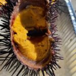 Mark Wiens Instagram - Completely liquifies on your tongue, so good - Santa Barbara sea urchin (uni)! Who wants some sea pudding?! Thanks to @visitcalifornia for sponsoring my trip #VisitCalifornia #SeeSB #uni @visitsantabarbara Santa Barbara, California