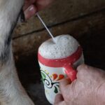 Mark Wiens Instagram - The most unique breakfast in Los Angeles! @mexi_papa_adventures @jeffrey_merrihue @dj_m1choacano It’s called “pajaretes,” 🥛 🐐 🐄 served on a Mexican ranch, in a back yard in Compton! #LosAngeles #MexicanFood #breakfast Los Angeles, California