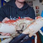 Mark Wiens Instagram - Giant Tasmanian King Crab 🦀 cooked into 3 dishes by @hongsta_gram unbelievable crab meal! Thanks to @red_claw_seafoods for the crab and @sydneyfishmarket @mr.wongsydney #Sydney #Australia Mr. Wong
