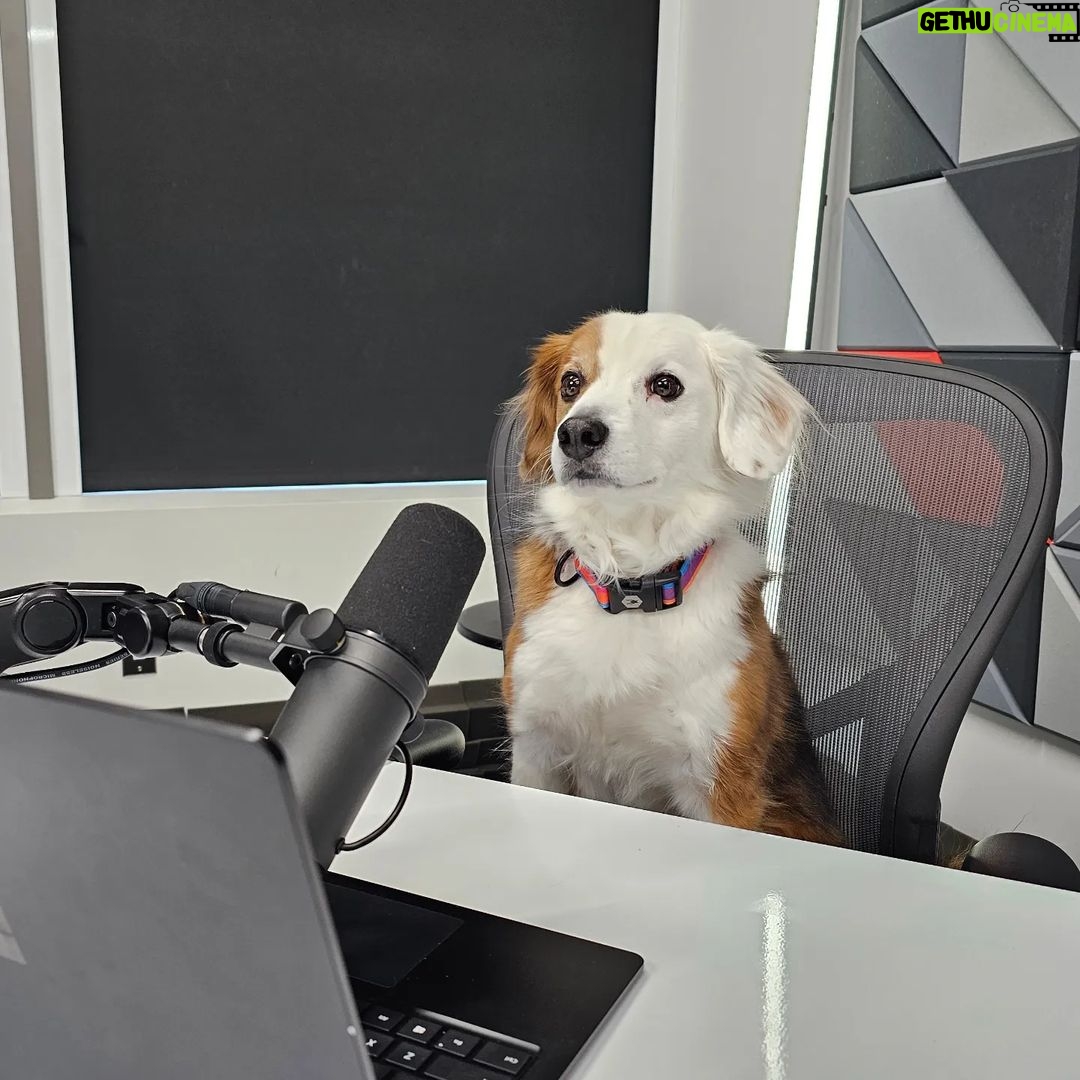 Marques Brownlee Instagram - Ready to pawdcast (I'm sorry)
