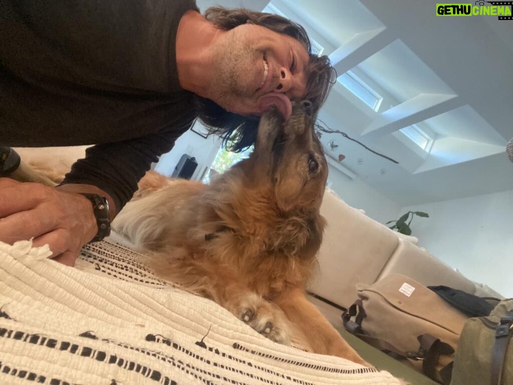 Martin Henderson Instagram - Lots of you have been asking about Sammy. So here he is! Like all of us he is getting on in age, but still full of LOVE !