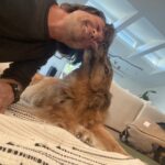 Martin Henderson Instagram - Lots of you have been asking about Sammy. So here he is! Like all of us he is getting on in age, but still full of LOVE !