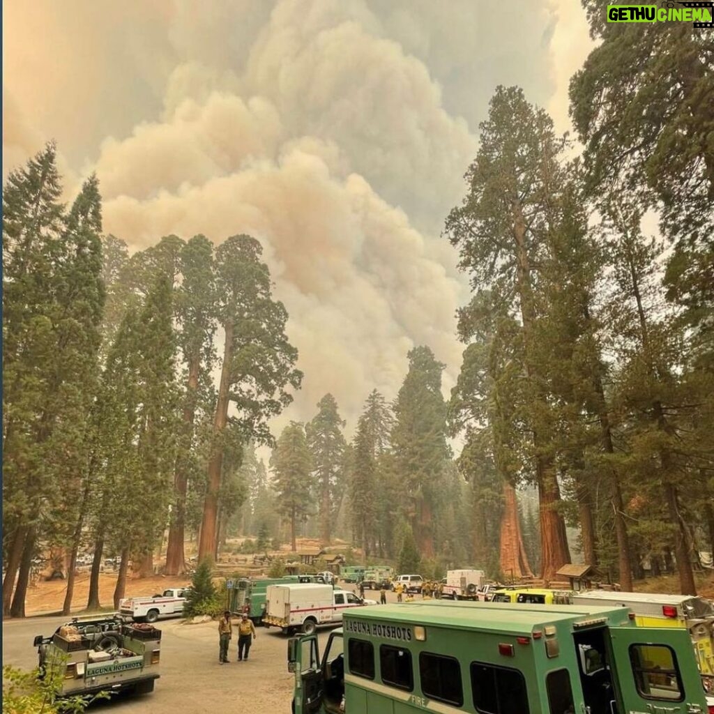 Martin Henderson Instagram - Sequoia National Park is on fire! Please donate to help all the brave folks who are currently battling this disaster which threatens such a magnificent natural wonder. Go to www.sequoiaparks.org or @sequoiaparksconservancy to donate - the giant sequoias need you 🌲 ♥️