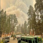 Martin Henderson Instagram - Sequoia National Park is on fire! Please donate to help all the brave folks who are currently battling this disaster which threatens such a magnificent natural wonder. Go to www.sequoiaparks.org or @sequoiaparksconservancy to donate - the giant sequoias need you 🌲 ♥️