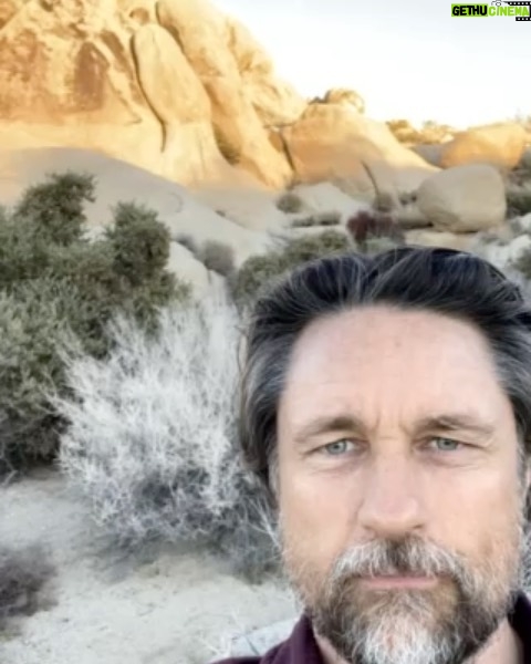 Martin Henderson Instagram - Hi guys, only a couple of days left to help these beautiful trees. And you get to smell really sexy doing it!! To purchase, visit www.abbottnyc.com Use code MARTIN25 for 25% off all Sequoia candles and perfumes from Abbott, and 25% of all proceed will be donated to SPC #cityescapeartist #abbottnyc #inspiredbynature #cleaningredients #sustainablysourced