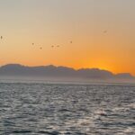 Martin Henderson Instagram - Thank you Beautiful Baja for opening up some of your sublime secrets and mysteries to me these last 6 months. It has been a blessing and a privilege to sail your sea and dive your depths and encounter all the magic and wonder that abounds here. Gracias!!! #seaofcortez #sailinglife Baja California Sur, Mexico