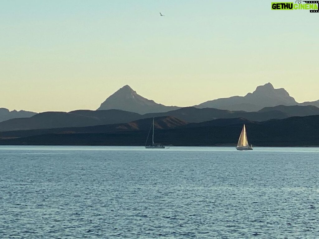 Martin Henderson Instagram - Good evening lovely people. #sailing #sailinglife #backlitcanvas Isla Coronado