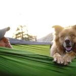 Martin Henderson Instagram – Tbt when the world was open and my boy could still leap into hammocks 📸: @justingchatwin #sierranevada #mansbestfriend #livesimply #bestthingsinlifearefree Sierra Nevada Mountains, California
