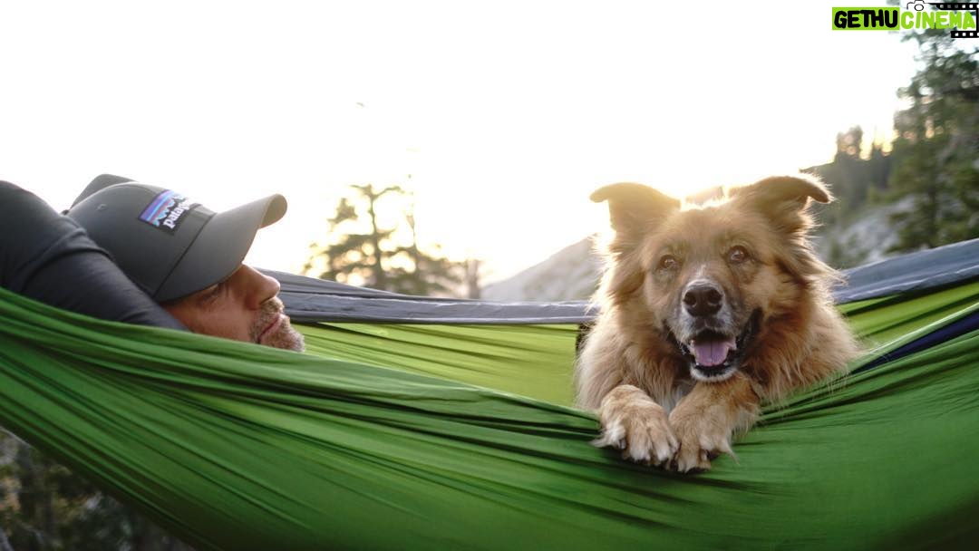 Martin Henderson Instagram - Tbt when the world was open and my boy could still leap into hammocks 📸: @justingchatwin #sierranevada #mansbestfriend #livesimply #bestthingsinlifearefree Sierra Nevada Mountains, California