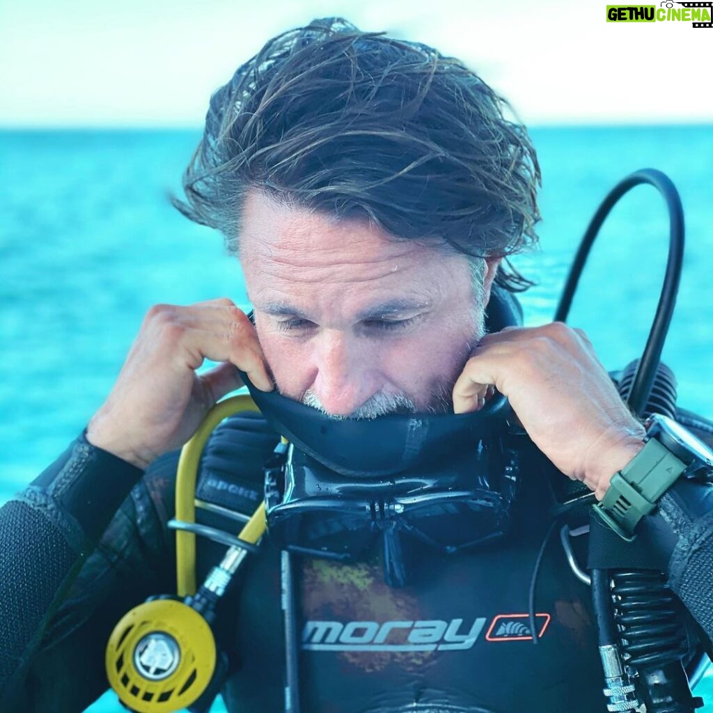 Martin Henderson Instagram - Getting my #PADI advanced open water certification with @cortezexpeditions Thank you @dernier_licorne for taking us safely to 100 feet!! 🙏Had a wonderful couple of days under the water 📸: @jessmead9 #getoutside #seaofcortez #scuba #padi La Paz, Baja California Sur