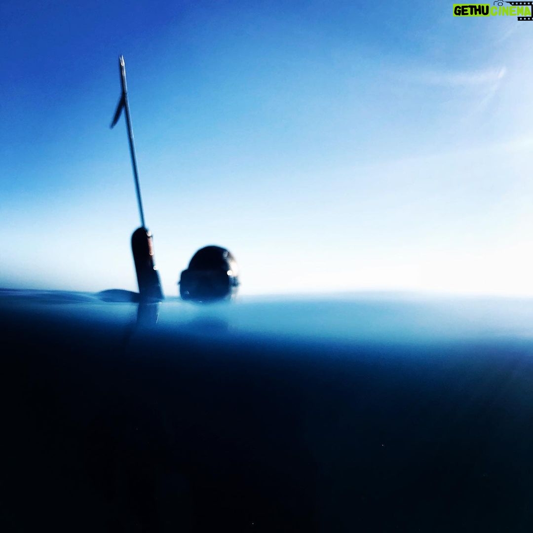 Martin Henderson Instagram - Looking for lunch. #spearfishing #self-sufficient #seaofcortez 📸: @justingchatwin