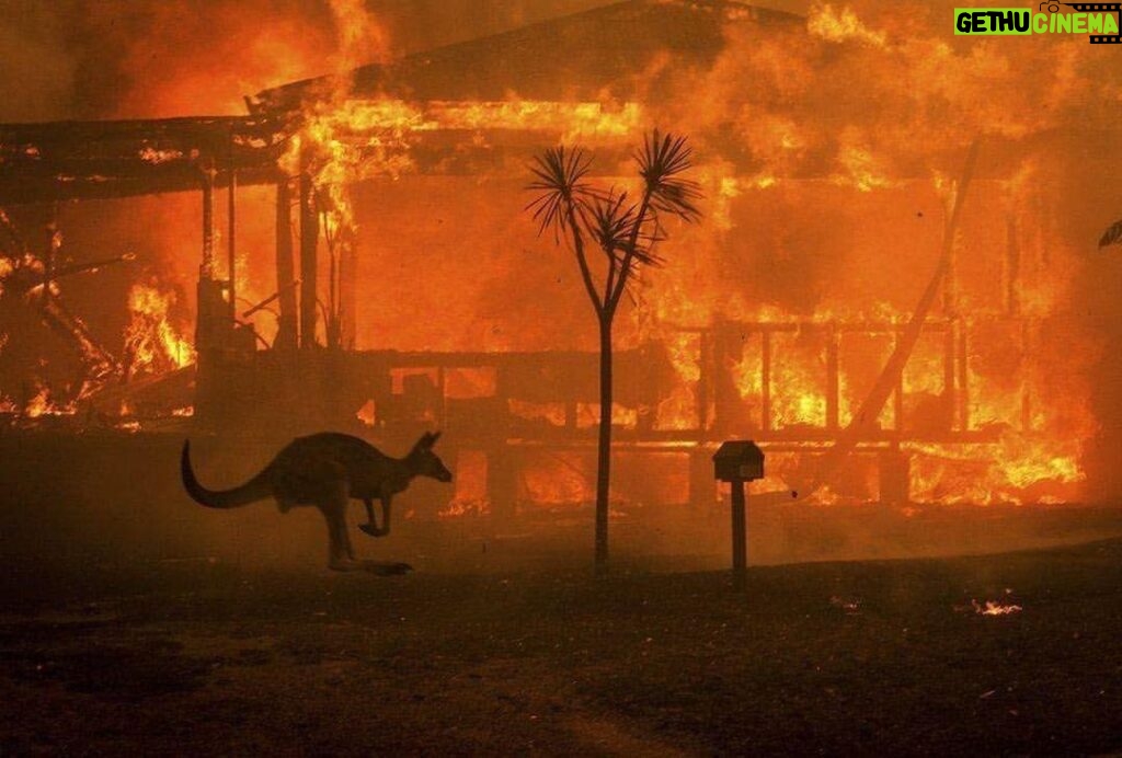 Martin Henderson Instagram - #repost @wsl Australia is burning. They need our help. More than 200 fires have devastated more than 15 million acres of land already, killing thousands of defenseless koalas and other animals. Over a thousand homes have been destroyed and over 20 people have perished. The New Zealand government is sending army personnel and fire fighters to support the incredibly heroic efforts of Australia’s fire fighting services. Let’s do whatever we can to donate and support this beautiful country, it’s wildlife and it’s people. We are all in this together. Can we please start to take responsibility for this global crisis before it’s too late! Climate change is real. Let’s demand our governments and corporations act responsibly. But it starts with each one of us. DONATE HERE Red Cross https://www.redcross.org.au Give it http://www.givit.org.au Port Macquarie Kola Hospital https:// www.gofundme.com/f/help-thirsty-koalas-devastated-by-recent-fires Victoria Fire Brigade https://www.cfa.vic.gov.au/about/supporting-cfa#donate-cfa South Australia Rural Fire Services Follow the bio link @sophie_guidolin Wildlife rescue https://www.wires.org.au/donateemergency-fund Salvation Army https://www.salvationarmy.org.au/donate/make-a-donation/donate-online/?appeal=disasterappeal St Vincent https://donate.vinnies.org.au/appeals-nsw/vinnies-nsw-bushfire-appeal-nsw Foodbank https://www.foodbank.org.au/support-us/make-a-donation/?state=vic Gippsland Emergency Relief https://www.gerf.org.au Thank you @julied for the links.