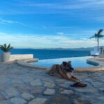Martin Henderson Instagram - Playa La Ventana