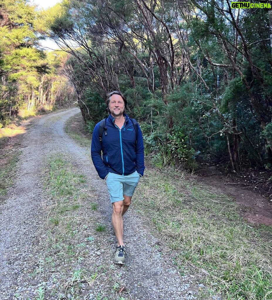 Martin Henderson Instagram - Soakin’ in the green of NZ bush. And blessed by the presence of a Kererū (New Zealand Wood Pigeon). I love to be immersed in the simple yet overflowing abundance of nature. It heals. It inspires. Thank you for all the kind messages of late. Love you guys x