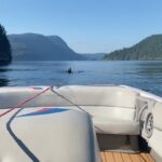 Martin Henderson Instagram - This is what a Sunday in #virginriver country looks like. So grateful that this is our backyard while we film in Vancouver. I’m only a beginner but I’m gonna get good at this sport - I love that it offers such an opportunity to find grace and power at the same time! Hope y’all had a great weekend and hopefully you got to feel the beauty and healing power of nature too! Back to set tomorrow to get season 5 to you soon(ish)! ♥️ #getoutside #keepmoving #natureheals #nevertoooldtolearn #trysomethingnew Vancouver, British Columbia