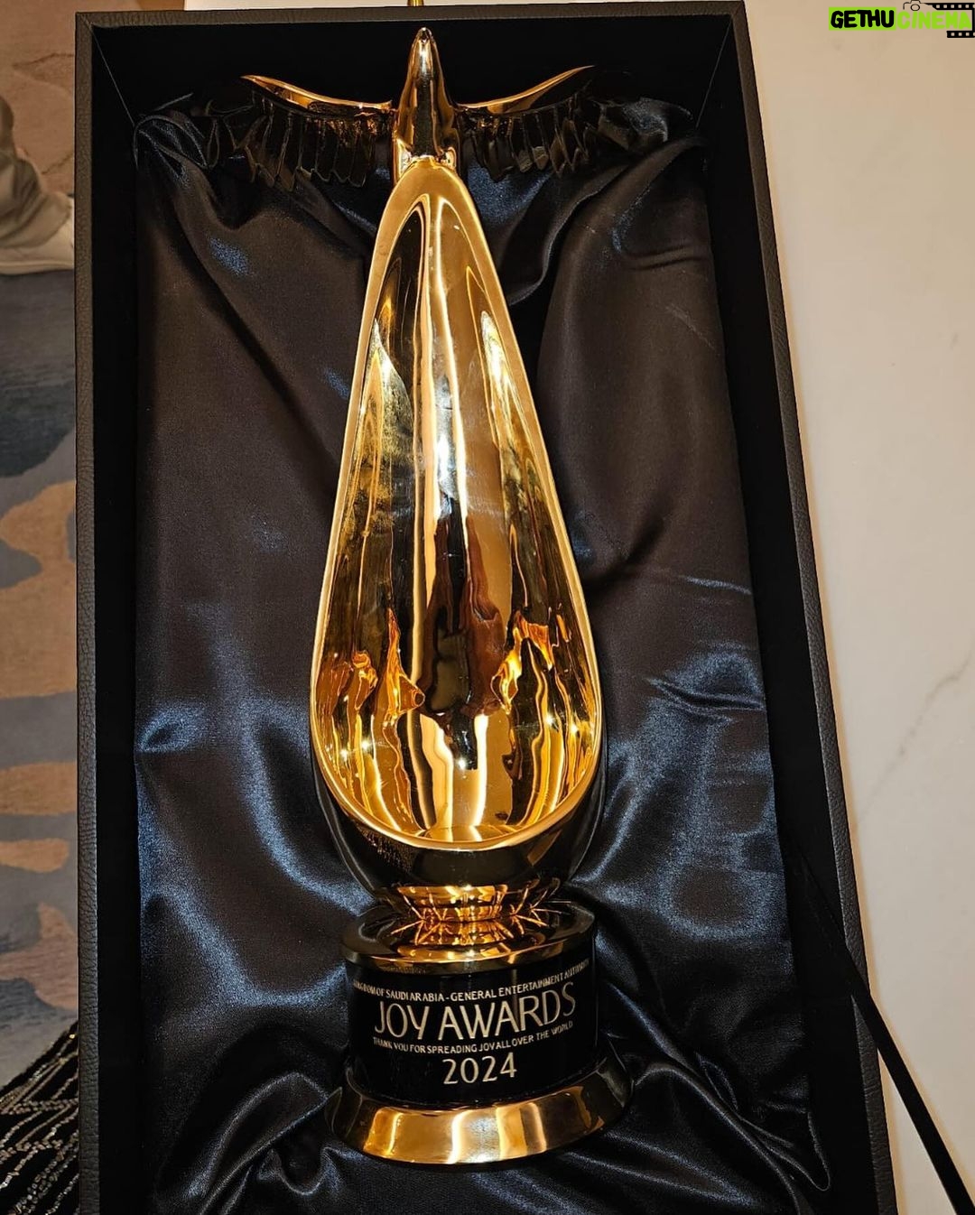 Martin Lawrence Instagram - About last night. #joyawards #saudiarabia #blessed Saudi Arabia