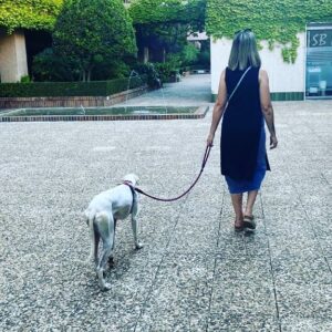 Martita de Graná Instagram - Os presento a Tyra.😁🍀
La nueva miembro de mi family.

Es una galguita joven que encontramos abandonada, muy cansada, con garrapatas y otros animales en su bonito body, con la piel malita y sobretodo hambrienta y muerta de sed.😤

Ahora tiene una casa donde está feliz, recuperándose y donde va a ser muy amada. Y yo más contenta que unas pascuas.

Ya te quiero Tyra. 💜💜💜

Adopta! No compres!
