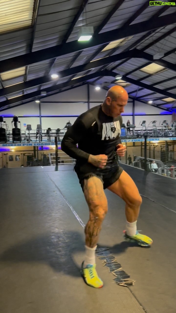 Martyn Ford Instagram - Training schedule may have changed, my goals may have switched, my training protocol altered … BUT theres one consistent ever present … @animalpak .. Current support cycle - aminos - Greens - Animal Pak - Omega - Cuts Day in, day out … I swear by these products, so incredibly well thought out and tailored for every need. Theres a reason @animalpak has been a market leader for many years #animalpak