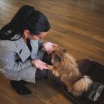 Mary Fitzgerald Instagram - Swipe to see @sellingsunsetnetflix’s new glam assistant 🐕 Another amazing day on set w/ our beautiful angel @themarybonnet and her sweet fur babies 🤍 thank you for having me Mary! Love you! Hair + Makeup by Me Assisted my my sweet @lvmuabella + Thor 🐶 #sellingsunset #netflix #lamakeupartist #lasvegasmakeupartist