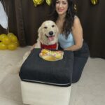 Maryam Zakaria Instagram - Happy birthday my cutie pie @rockycutiegolden we are so blessed to have you in our life. Thank you for giving us so much joy and happiness. Love you soooooo much woof woof 🎉🎉🎉❤️❤️❤️ #happybirthday #birthdayboy #goldenretriever #goldenretrieversofinstagram #doglover #reelitfeelit Mumbai, Maharashtra