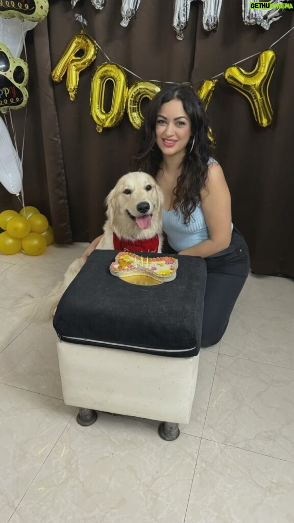 Maryam Zakaria Instagram - Happy birthday my cutie pie @rockycutiegolden we are so blessed to have you in our life. Thank you for giving us so much joy and happiness. Love you soooooo much woof woof 🎉🎉🎉❤❤❤ #happybirthday #birthdayboy #goldenretriever #goldenretrieversofinstagram #doglover #reelitfeelit Mumbai, Maharashtra