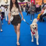 Maryam Zakaria Instagram - Such a lovely event thank you Just dogs for inviting us @rockycutiegolden enjoyed a lot 😍🫶 #petevent #goldenretriever #cutesogs #doglover #goldenretrieversofinstagram #family #reelitfeelit