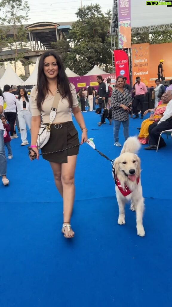 Maryam Zakaria Instagram - Such a lovely event thank you Just dogs for inviting us @rockycutiegolden enjoyed a lot 😍🫶 #petevent #goldenretriever #cutesogs #doglover #goldenretrieversofinstagram #family #reelitfeelit