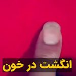 Masih Alinejad Instagram – .

رضا عقیلی هنرمند و کارتونیست ایرانی مقیم بلژیک با انتشار این ویدئو در صفحه توییتر خود نوشت که «چرا نباید رای داد».
این ویدئوی کوتاه به روشنی می‌گوید که هر رای به این حکومت انگشت در خون عزیزانمان است.
دوران انتخابات و امید بستن به تغییرات در چهارچوب جمهوری اسلامی خیلی وقت است به پایان رسیده است. بین ما و شما دریای خون است. مردم ایران خواسته‌ و هدفی به جز سرنگونی جمهوری اسلامی و محاکمه آمران و عاملان جنایات حکومتی علیه مردم ندارند. 

@rezacartoon 

#رای_بی_رای
#زن_زندگی_آزادی