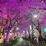 Matt Bomer Instagram - Japan - I ❤️You. 🇯🇵🌸