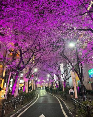 Matt Bomer Instagram - Japan - I ❤️You. 🇯🇵🌸