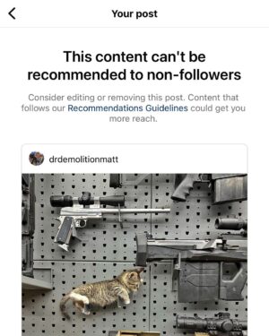 Matt Carriker Instagram - This place sucks. Follow me on Twitter (X), linked in bio. IG is too woke for me to show a funny picture of my new kitten with my other legal possessions. https://twitter.com/DemolitionRanch