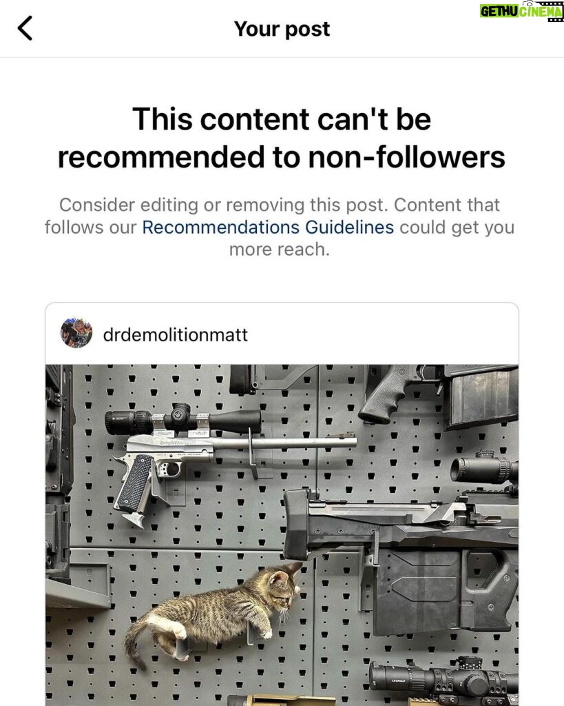 Matt Carriker Instagram - This place sucks. Follow me on Twitter (X), linked in bio. IG is too woke for me to show a funny picture of my new kitten with my other legal possessions. https://twitter.com/DemolitionRanch