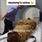 Matt McGorry Instagram – Repost @insidehistory
・・・
Scientists have fulfilled a mummified ancient Egyptian’s wish to speak again after death by replicating his voice with artificial vocal cords 🤯

Nesyamun was a priest who lived during the reign of Pharaoh Ramses XI, between 1099 and 1069BC. As a priest in Thebes, Nesyamun would have needed a strong voice for his ritual duties, which involved singing.

When Nesyamun died, his voice fell silent, but 3,000 years on, a team of researchers have brought it back to life using a 3-D printed vocal tract.”