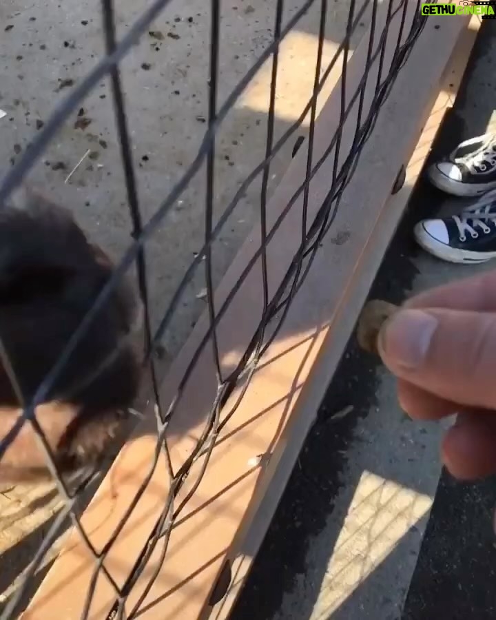 Matt McGorry Instagram - When itβs so close to the weekend you can taste it π
(sound on π) (@t.hanks)