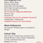 Matt McGorry Instagram - Voting guide for LA! Share widely! 📣📢📣📢 @dsa_la For the full guide check out dsa-la.org/voter-guide