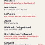 Matt McGorry Instagram - Voting guide for LA! Share widely! 📣📢📣📢 @dsa_la For the full guide check out dsa-la.org/voter-guide